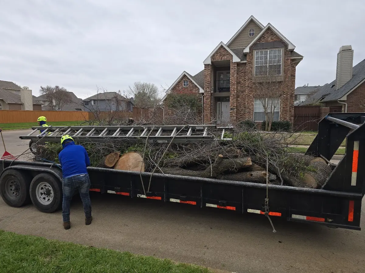 Expert Tree Fertilization with proper safety equipment in Dadeville